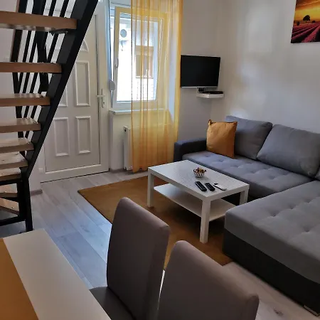 Ris Νόβι Σαντ